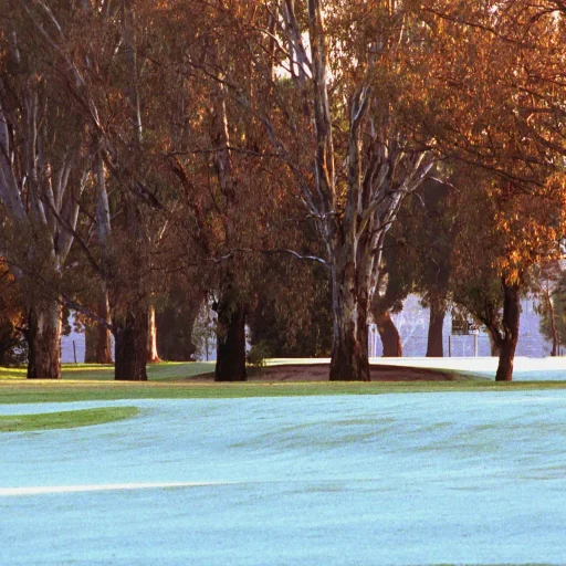 cowra_golf_club_central_west_nsw_golf_course_ (12)