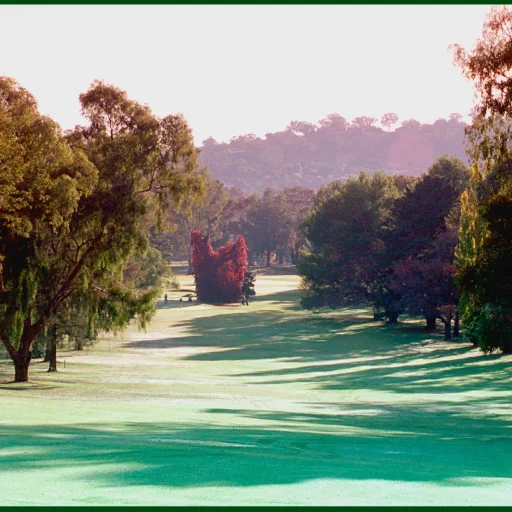 cowra_golf_club_central_west_nsw_golf_course_ (8)